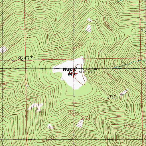 Topographic Map of Wapiti Mountain, MT