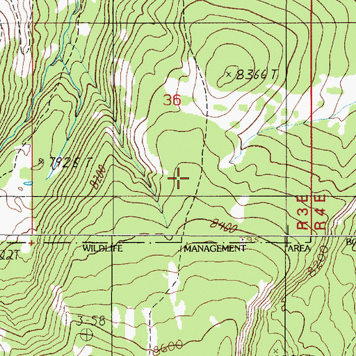 Topographic Map of Wapiti Ridge Trail, MT
