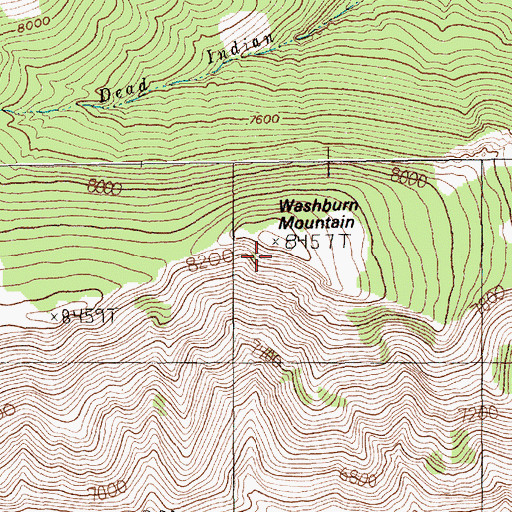 Topographic Map of Washburn Mountain, MT