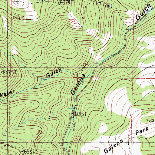 Topographic Map of Water Gulch, MT
