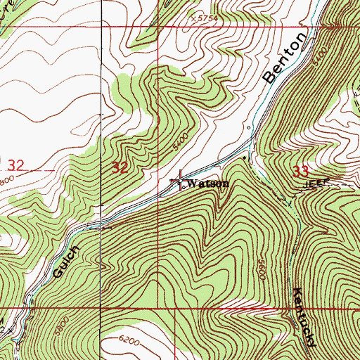 Topographic Map of Watson, MT