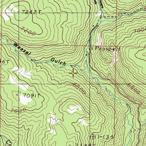 Topographic Map of Weasel Gulch, MT
