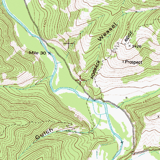 Topographic Map of Weasel Gulch, MT