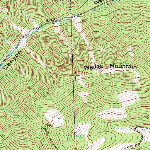 Topographic Map of Wedge Mountain, MT