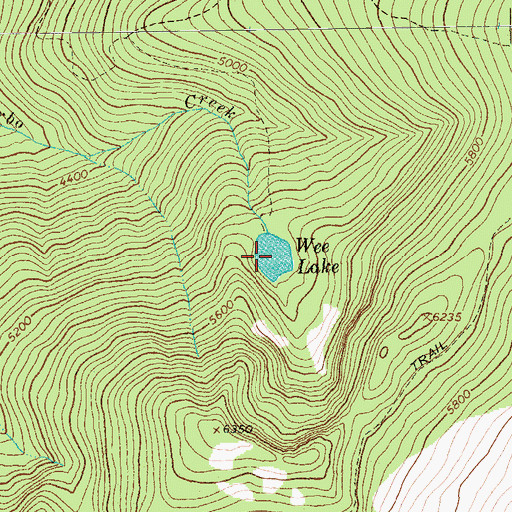 Topographic Map of Wee Lake, MT