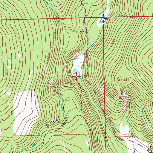 Topographic Map of Weigel Creek, MT