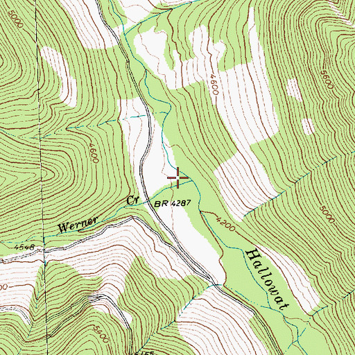 Topographic Map of Werner Creek, MT