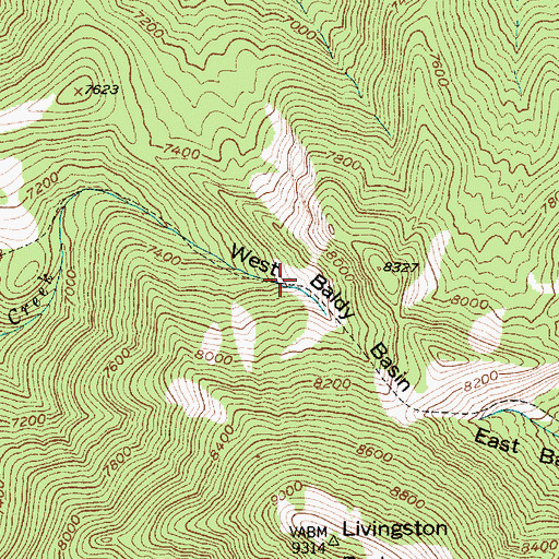 Topographic Map of West Baldy Basin, MT