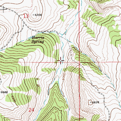 Topographic Map of West Fork Checkerboard Creek, MT