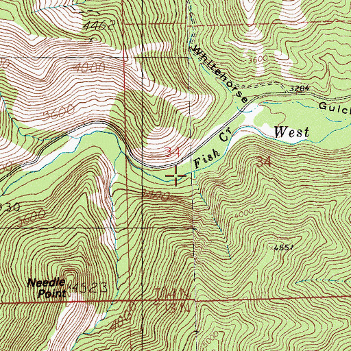 Topographic Map of West Fork Fish Creek, MT