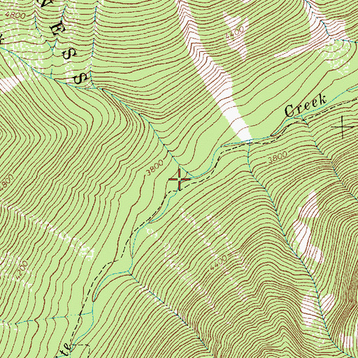 Topographic Map of West Fork Granite Creek, MT