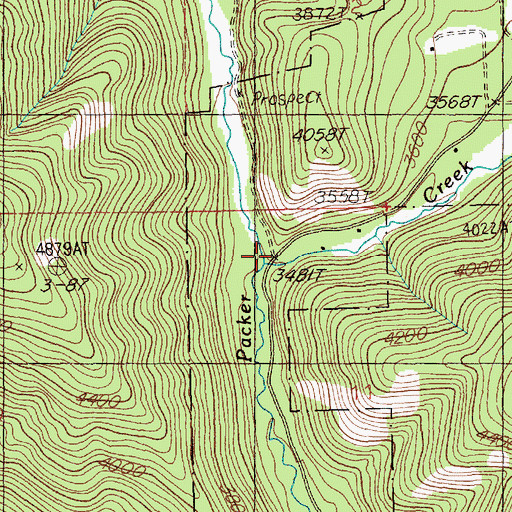 Topographic Map of West Fork Packer Creek, MT