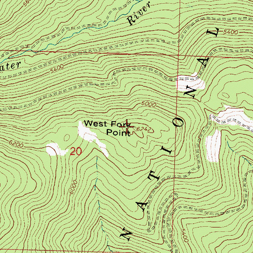 Topographic Map of West Fork Point, MT