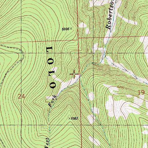 Topographic Map of West Fork Robertson Creek, MT