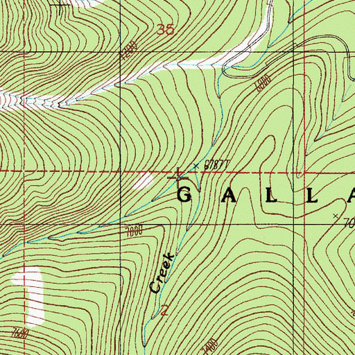 Topographic Map of West Fork Trapper Creek, MT