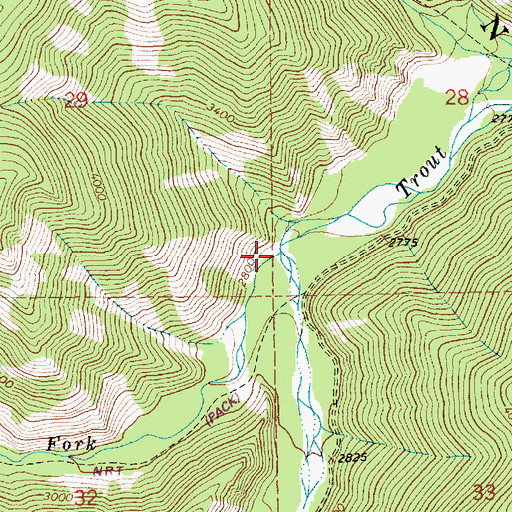 Topographic Map of West Fork Trout Creek, MT