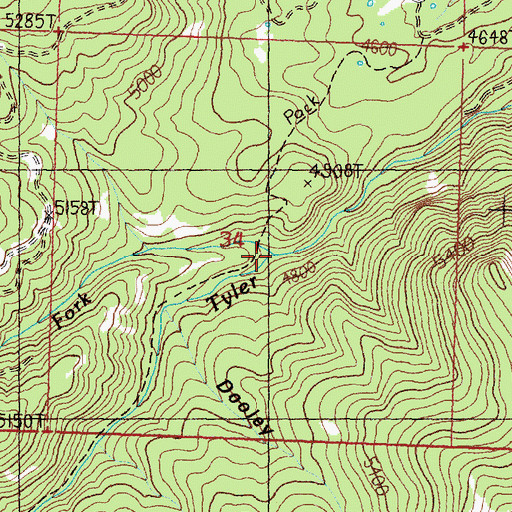 Topographic Map of West Fork Tyler Creek, MT
