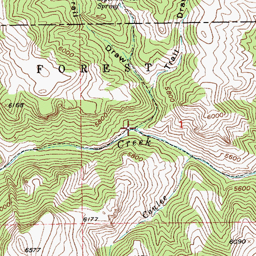 Topographic Map of West Trail Draw, MT