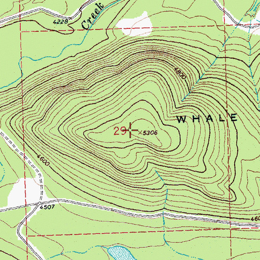 Topographic Map of Whale Buttes, MT