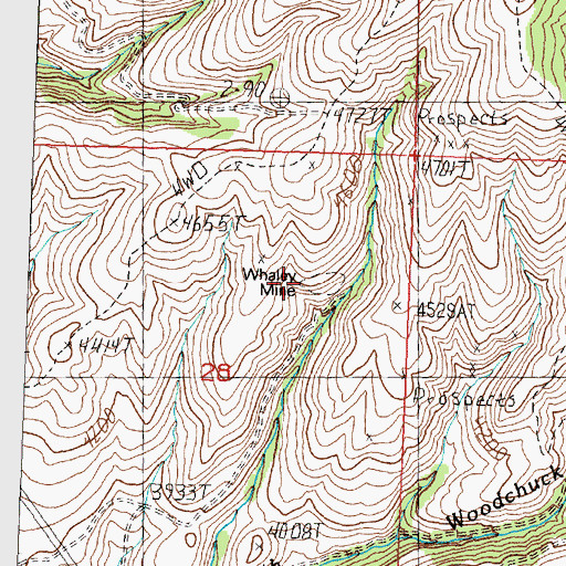 Topographic Map of Whaley Mine, MT