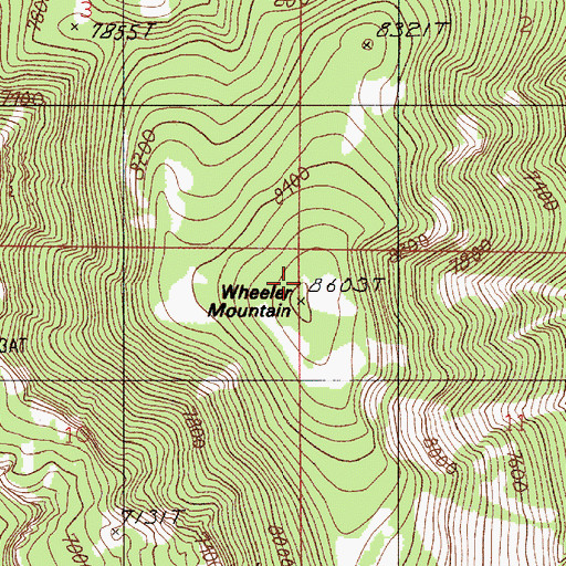 Topographic Map of Wheeler Mountain, MT