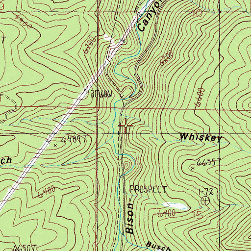 Topographic Map of Whiskey Gulch, MT