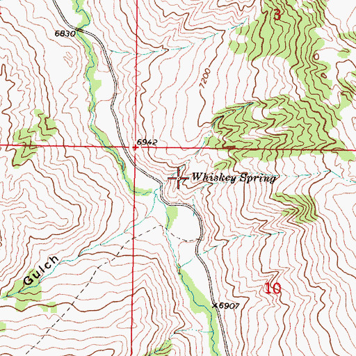 Topographic Map of Whiskey Spring, MT