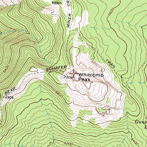 Topographic Map of Whitcomb Peak, MT