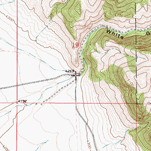 Topographic Map of White Gulch, MT