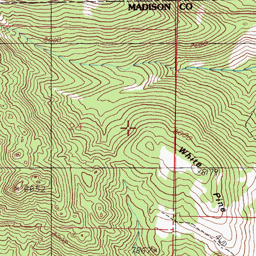 Topographic Map of White Pine Ridge, MT