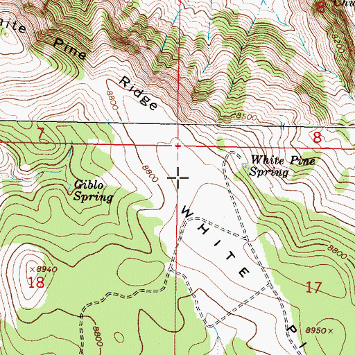 Topographic Map of White Pine Ridge, MT