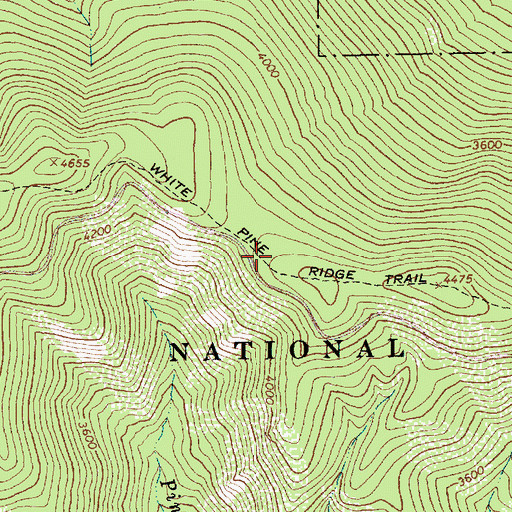 Topographic Map of White Pine Ridge Trail, MT