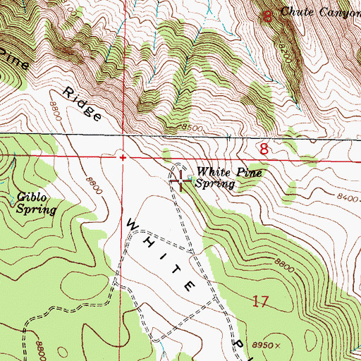 Topographic Map of White Pine Spring, MT