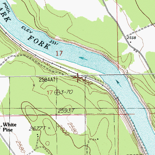 Topographic Map of White Pine Station, MT