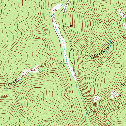 Topographic Map of Whiteface Creek, MT