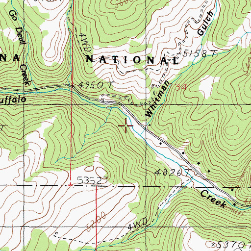 Topographic Map of Whiteman Gulch, MT