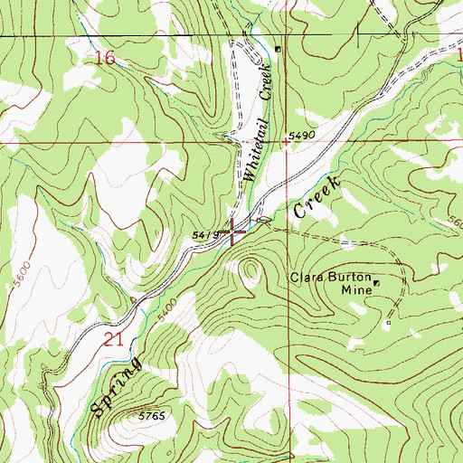 Topographic Map of Whitetail Creek, MT