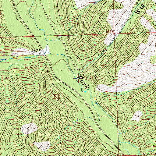 Topographic Map of Wig Creek, MT