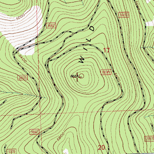 Topographic Map of Wild Bill Mountain, MT