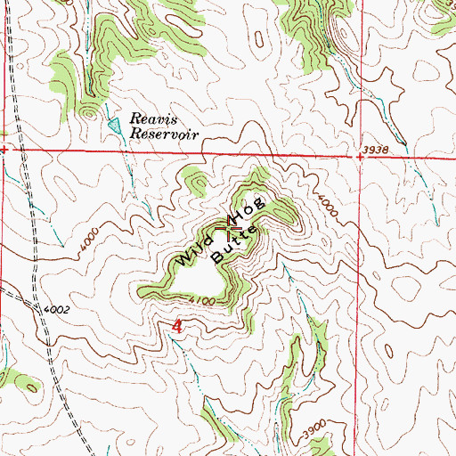 Topographic Map of Wild Hog Butte, MT