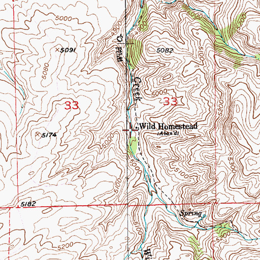 Topographic Map of Wild Homestead, MT