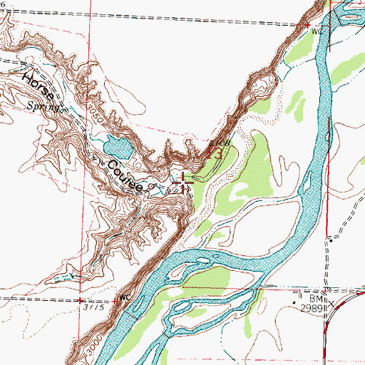 Topographic Map of Wild Horse Coulee, MT
