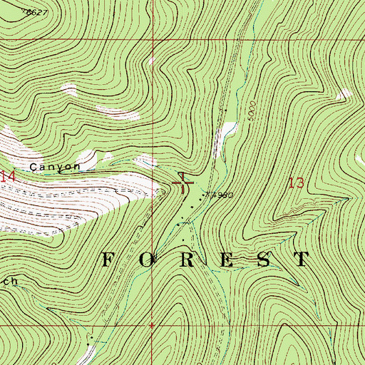 Topographic Map of Wild Rock Canyon, MT
