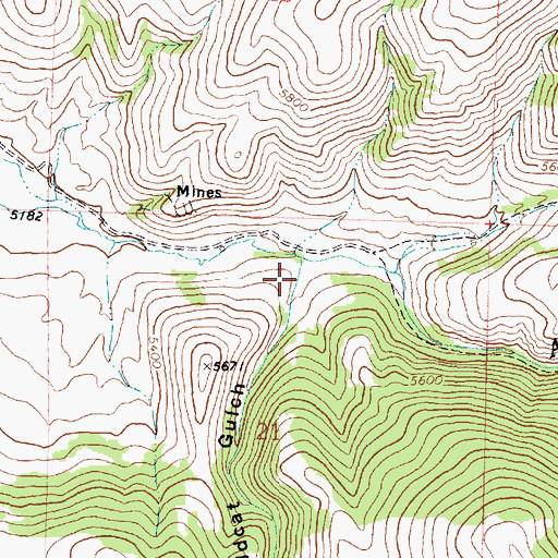Topographic Map of Wildcat Gulch, MT