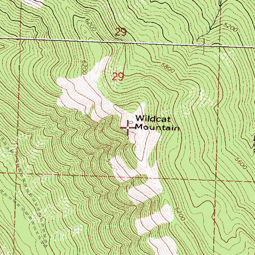 Topographic Map of Wildcat Mountain, MT
