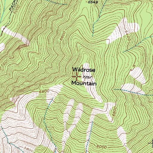 Topographic Map of Wildrose Mountain, MT