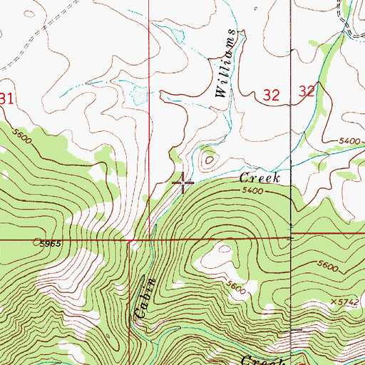 Topographic Map of Williams Creek, MT