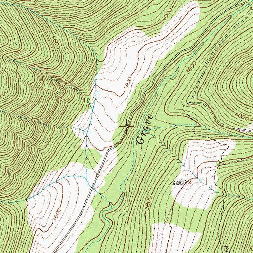 Topographic Map of Williams Creek, MT