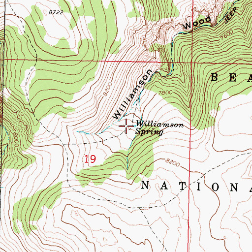 Topographic Map of Williamson Spring, MT