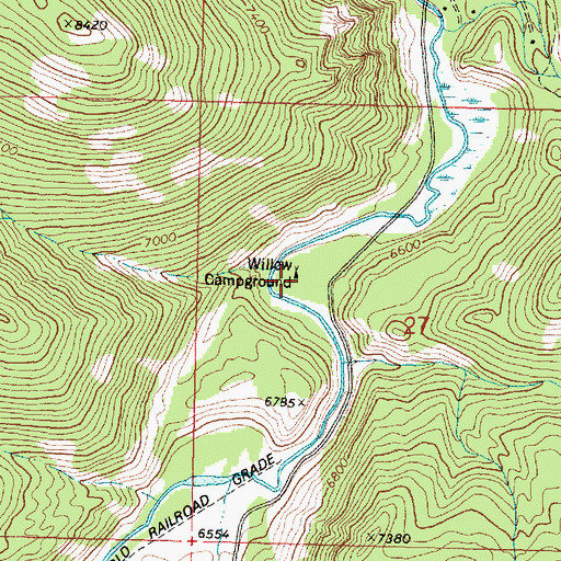 Topographic Map of Willow Campground, MT